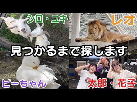 愛知総捜索：動物園での名前付けに関する考察