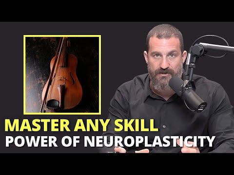 Mastering the Art of Fast Learning: Neuroplasticity and Brain Optimization