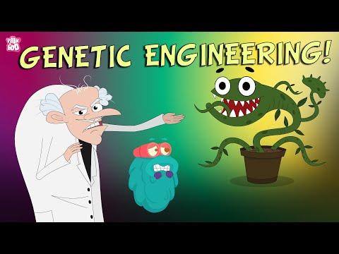 Unveiling the World of Genetic Engineering: Implications and Concerns