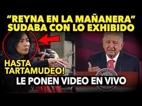 Presidente confronta a Reyna en la mañanera: Análisis y reflexiones