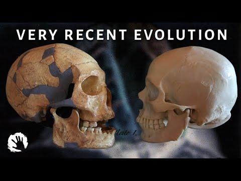 Human evolution: Brain shape has barely changed in past 160,000