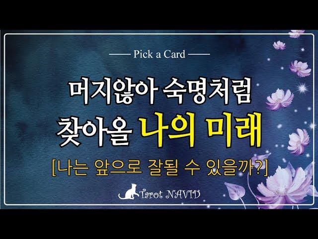 [타로] 나의 미래를 밝히는 특별한 예언서