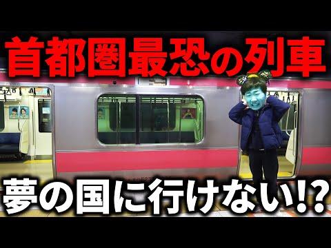 東京ディズニーリゾートへの京葉線230Nの乗車体験