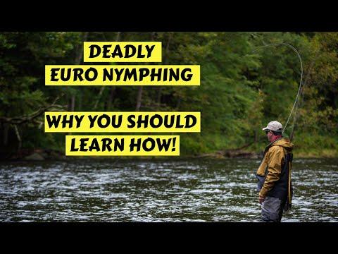 Mastering Euro Nymphing: The Ultimate Guide for Trout Fishing