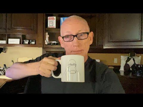 The Power of Visual Persuasion: Insights from Scott Adams