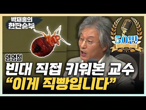 빈대 대응 전문가의 궁금한 점 해결 방법