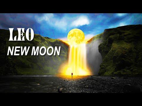 Unlocking the Power of the New Moon in Virgo: A Guide to Mindset Shift and Materialization