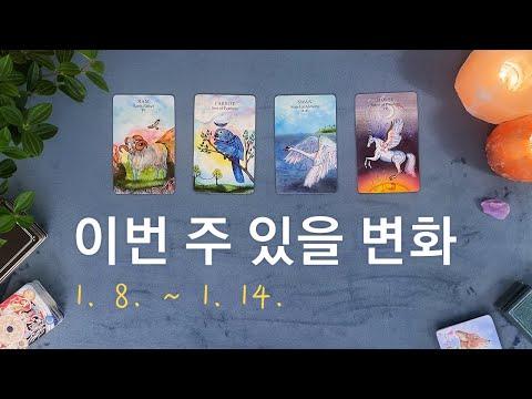 [타로/주간운세] 1월 둘째 주 종합운(1. 8. ~ 1. 14.)