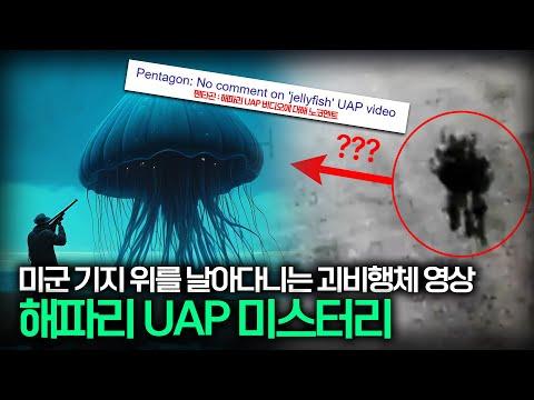 해파리UFO 미스터리 폭로! 외계인 vs 드론 vs 착각, 여러분의 생각을 기다립니다