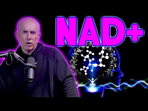 The Truth About NAD+: Key Insights and FAQs