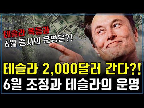 테슬라의 성장과 주가 전망: 투자 전략 및 전망