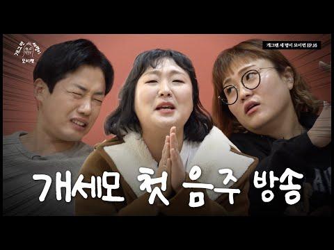 유쾌한 이야기와 흥미로운 토론 | 개 세 모 | EP.16