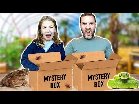 Unboxing Fun: Cooking Challenges and Surprise Boxes