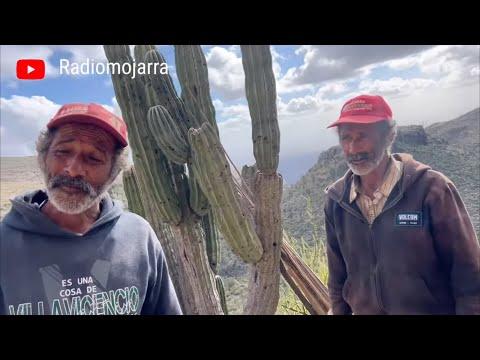 Descubriendo la vida en un pueblo remoto