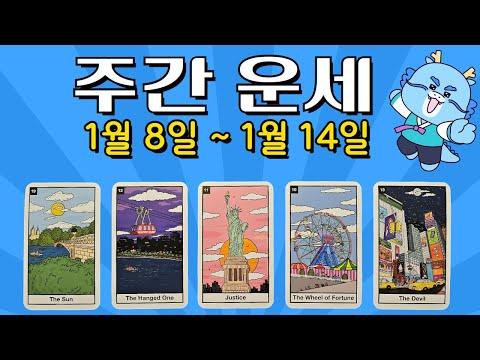 [타로/주간 운세] 1월 둘째 주/직장/금전/시험/관계/애정/자기 관리