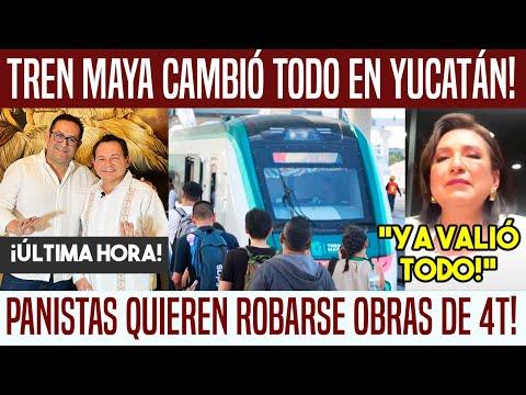 Descubre la verdad detrás de las noticias falsas y el impacto del Tren Maya en Yucatán