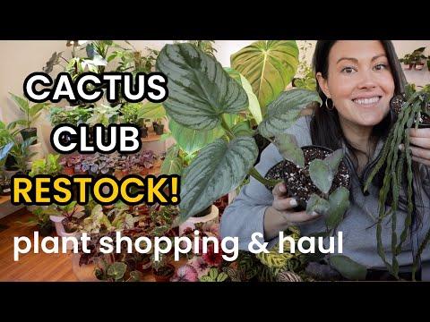 Discovering Rare and Beautiful Plants at Cactus Club - A Plant Lover's Paradise