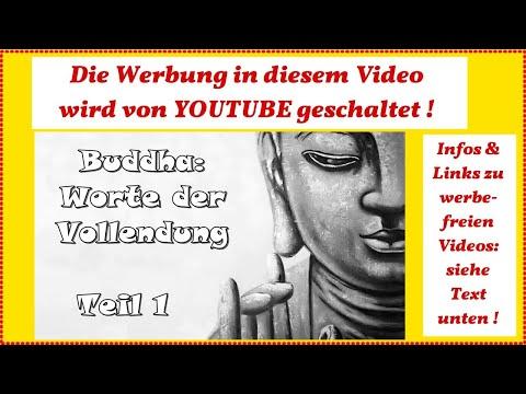 Die Lehren Buddhas: Ein Überblick