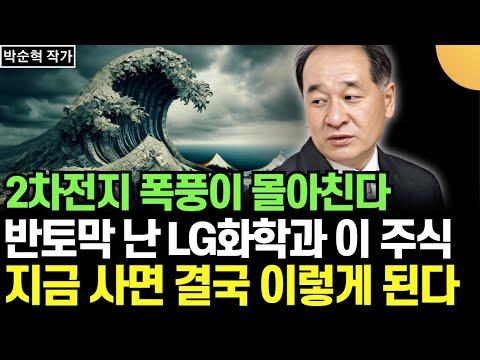 LG화학과 SK 이노베이션 주식에 대한 투자 전략과 주가 조작에 대한 이야기