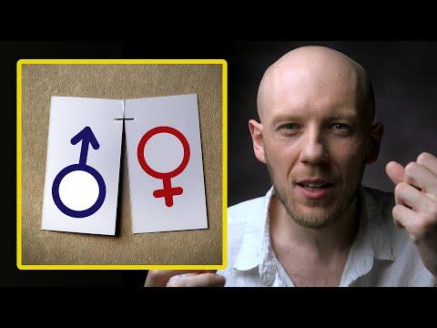 The Evolution of Gender: From Rocks to Humans