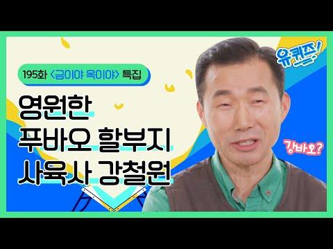 바오 가족 이야기: 사육사의 특별한 순간들