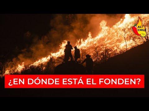 Cómo el Gobierno Federal está enfrentando los incendios en México