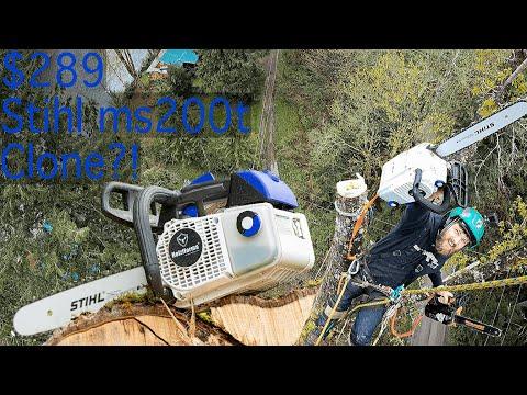 Cutting Down a 170ft Tree with a $289 Stihl ms200t Knockoff! Holtzforma G111 Review