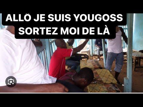 Découvrez les derniers potins de la communauté YouTube avec Allô je suis yougoss sortez moi de là