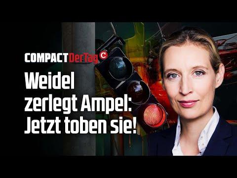 Alice Weidel kritisiert die Ampel-Regierung: Eine Analyse ihrer kontroversen Aussagen