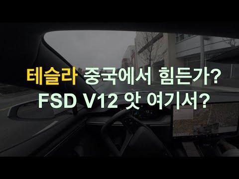 테슬라 BYD 2월 중국 판매량과 미국 불법 이민자 문제에 대한 전망