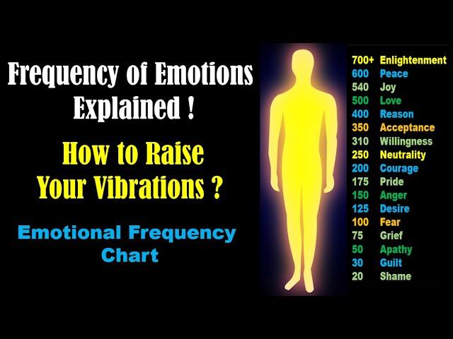 Raising Your Frequency: How to Live in Higher Vibrations