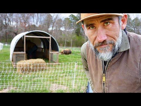 Homesteading Tips and Tasks: A Day in the Life on the Family Homestead