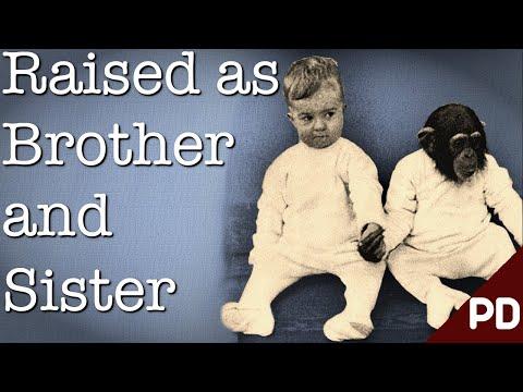 The Dark Side of Science: The Ape and The Child Experiment 1932