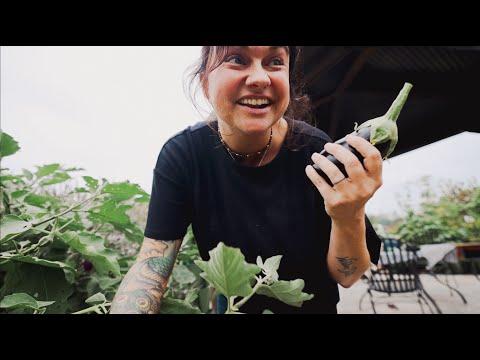 Organic Food, Fair Trade, and Cooking Tips: A YouTuber's Insightful Grocery Haul