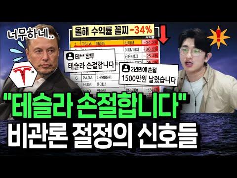 테슬라 주식 하락에 대한 비관론과 투자자들의 선택, 미래 전망은?