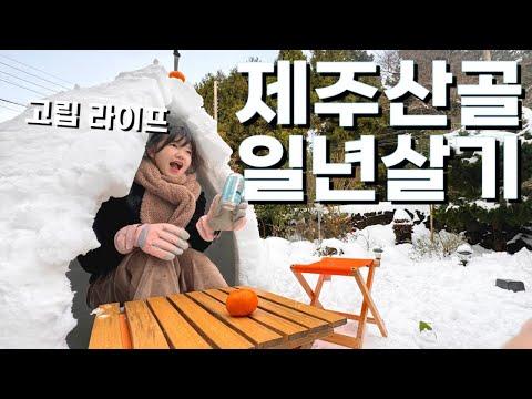 제주 산간에서 1년을 살아보니, 겨울 풍경의 아름다움을 만끽하며 즐거운 삶을 살다