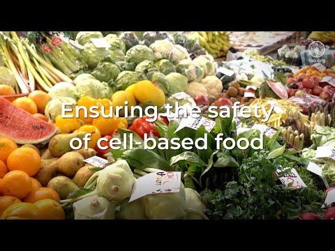 Ensuring the Safety of Cell-Based Food: Key Considerations and FAQs