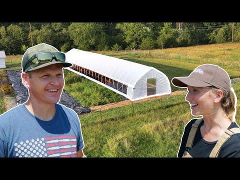 Maximizing Food Production with High Tunnels: A Step-by-Step Guide