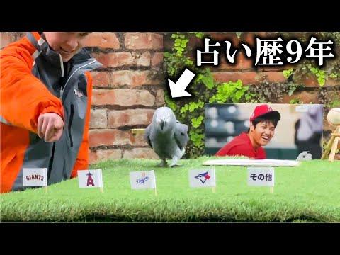 冬の楽しみを満喫！動物王国でリラックスする新しい方法