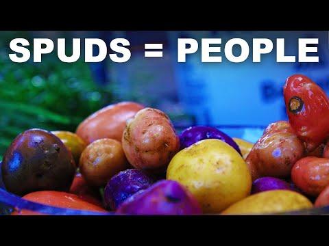 The Power of Potatoes: A Versatile and Nutritious Crop