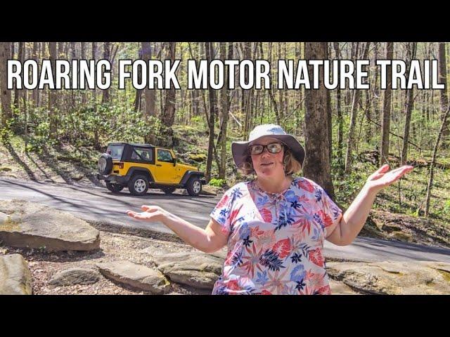 Exploring Roaring Fork Motor Nature Trail: A Nature Lover's Paradise