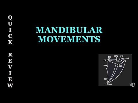 Understanding Mandibular Movements: A Comprehensive Guide