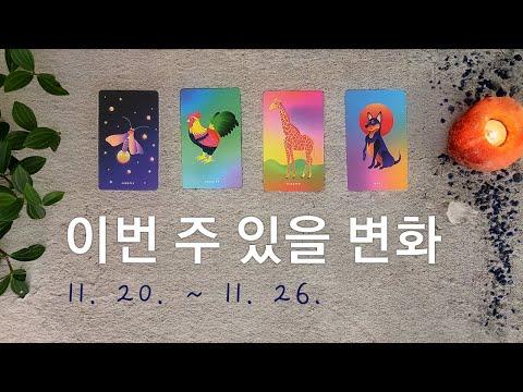 [타로/주간운세] 11월 넷째 주 종합운(11. 20. ~ 11. 26.) - 신나는 주간운세!