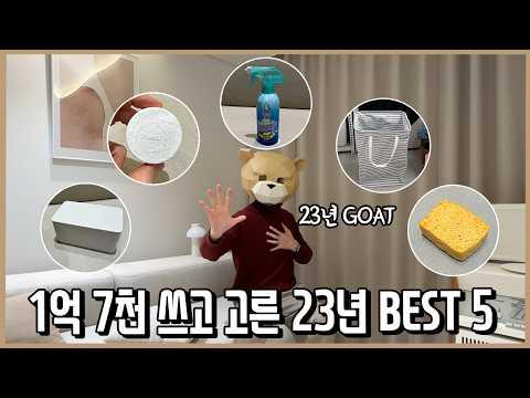 가장 만족한 소비 BEST 5 l 내돈내산