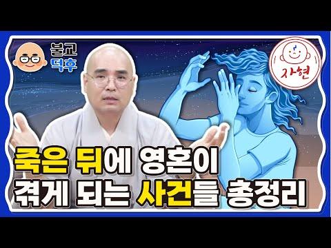 죽은 뒤에 영혼이 겪게 되는 사건들 - 불교덕후 3-4-2