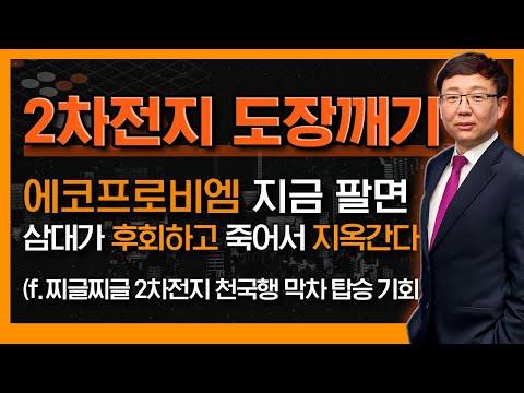 에코프로비엠 주가와 2차전지 시장 전망