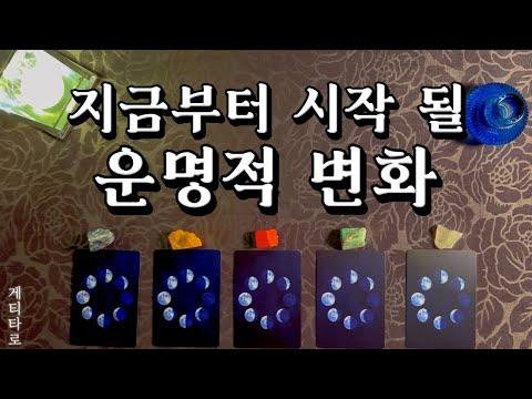 [타로] 미래에 대한 가능성과 변화를 이끌어내는 행운의 메시지