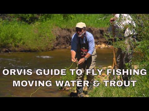 Mastering Fly Fishing: Techniques for Navigating Rivers and Streams