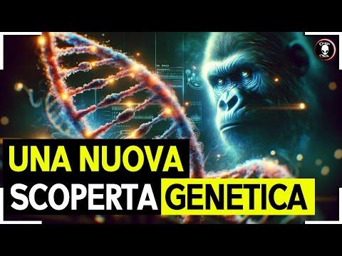 The Extraterrestrial Origin of DNA: A Fascinating Genetic Discovery