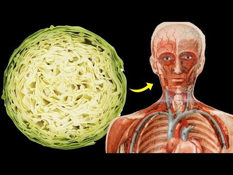 The Incredible Health Benefits of Cabbage: A Superfood for Your Body and Mind